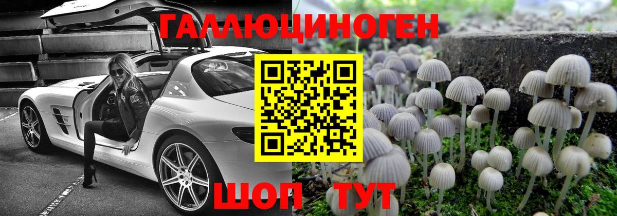 Псилоцибиновые грибы Psilocybe Волжский